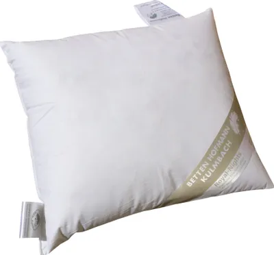 Produktbild von Betten Hofmann Kopfkissen 35x40 Federkissen Kleinkissen Kissen prall 30% Daunen 325 g