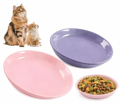 Productafbeelding van Kattenvoerbak - Keramiek - 15 x 3 cm - Set van 2 - Roze en paars