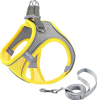 Produktbild von Famanu Hundegeschirr für kleine Hunde - Verstellbar, atmungsaktiv, reflektierend (XS, gelb und grau)