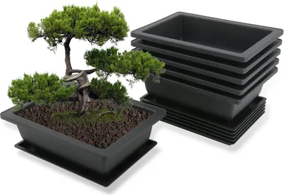 A bonsai tree in a black pot with a saucer, next to a stack of identical black pots and saucers.