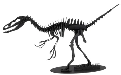 Produktbild von 3D Papiermodell Dromaeosaurus Fridolin