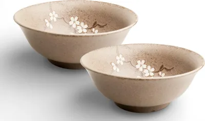 Produktbild von Japan-Bowls ASIATICA | Ramen Bowl Porzellan-Schalen - Anemone 21 cm