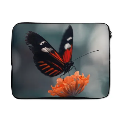 Produktbild von MuchoWow® Laptop Hülle 17 Zoll Laptoptasche Schmetterling - Blume - Insekt - Zipper - Schutzabdeckung