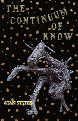 Produktbild von The Continuum of Know