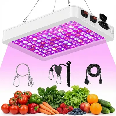 A grow light with various accessories and a selection of fresh produce displayed below.