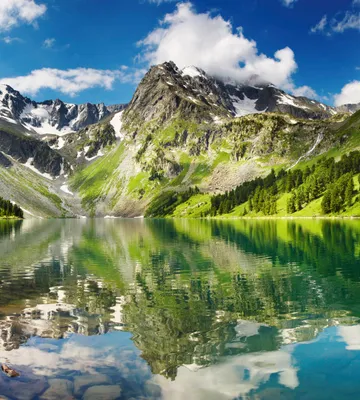 Produktbild von Fototapete - Lake 225x250cm - Vliestapete