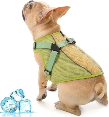 Productafbeelding van Famanu koelvest voor honden, ademend, verstelbaar, groen, maat S