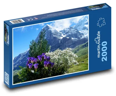 Zdjęcie produktu dla Puzzle 2000 Kwiaty i Alpy latem - martinpuzzle