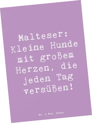 Produktbild von Mr. & Mrs. Panda Postkarte Spruch Malteser Herz - Lavendeltraum - Geschenk, Hundeliebhaber, Malteserfreude, Hunderasse, Hunderassen Eigenschaften, kleine Hunde, Charakter