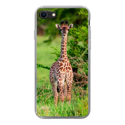Produktbild von MuchoWow® Handyhülle Schutzhülle Hülle für iPhone SE 2020 Baby - Giraffe - Pflanzen Silikon Softcase Handy Hülle - Kartenbesitzer