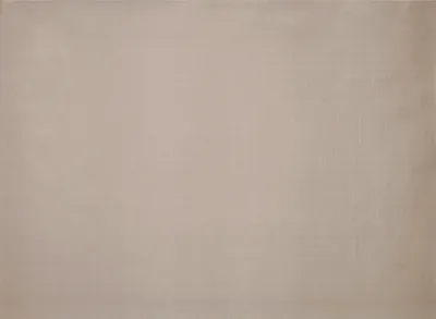 Produktbild von Tischsets aus Papier 43x30cm 50 Stück Taupe