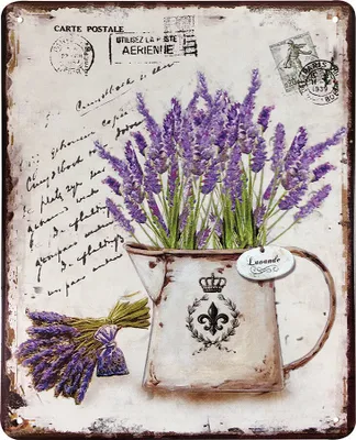Produktbild von Blechschild Lavande Dekoschild Lavendel Provence Nostalgie Vintage 25x20cm