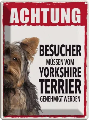 Produktbild von vianmo Blechschild 40x30 cm Tiere Achtung Yorkshire Terrier Tier Haustier Hund