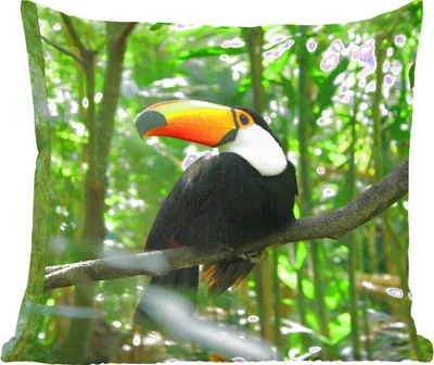 Produktbild von MuchoWow® Zierkissen Sofakissen Wohnzimmer Dekokissen 40x40 cm Tukan im Baum - Foto Kissen - Schlafzimmer Dekoration