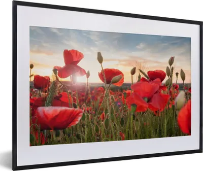 Produktbild von MuchoWow® Gerahmtes Poster Sonnenuntergang hinter den schönen Mohnblumen 60x40 cm - Poster mit Schwarzem Bilderrahmen Wandposter Rahmen Foto Bilder - Schlafzimmer - Plakat in Rahmen - Drucken