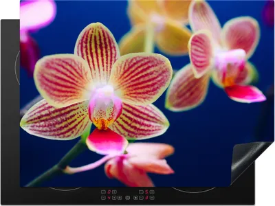 Produktbild von KitchenYeah© Herdabdeckplatte Von Orchidee , 71x52cm, Küche Deko, Glaskeramikkochfeld Herdabdeckung, Abdeckplatte fùr Kochfeld