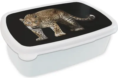Produktbild von KitchenYeah® Lunchbox Brotzeit Brotdose 17x11 cm Leopard - Wild - Schwarz Kinder Brotzeitdose - Lunch Box - Kinder - Sandwich-Box - Schulbox - Lunch Boxen
