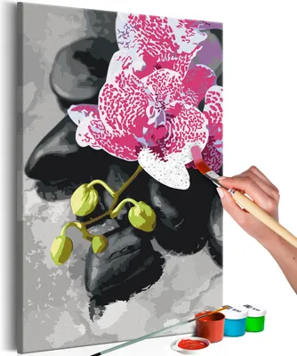 Obrázek produktu pro Netkané malování podle čísel - Růžová orchidej 40x60 cm Květiny n-A-0243-e-a