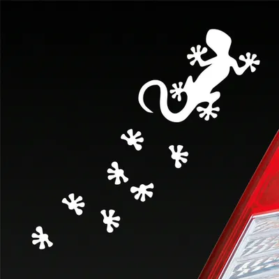 Produktbild von Auto Aufkleber Salamander Agame Echse Lizard Fußspuren 20x6 cm Weiss Matt Sticker Heckscheibenaufkleber