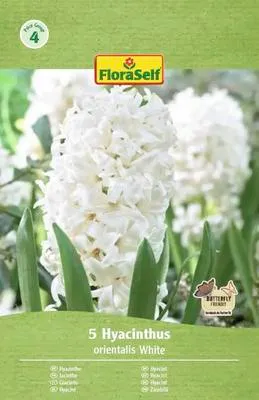 Obrázek produktu pro Hyacinty FloraSelf 'Orientalis bílé' 15/16 5 ks