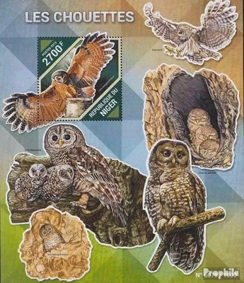 Produktbild von Briefmarken Niger 2015 Mi Block 482 (kompl. Ausg.) postfrisch Eulen