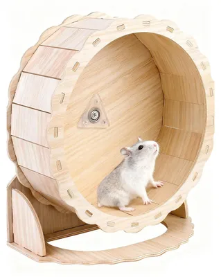 Imagen del producto de Rueda de ejercicio para hámster de madera, 1 unidad, silenciosa, para pequeños animales