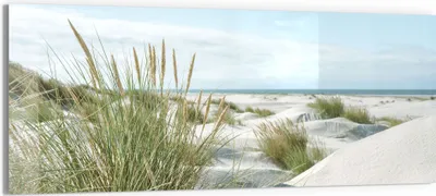 Produktbild von DEQORI Glasbild Echtglas 125x50 cm 'Dünen an Nordseeküste' Wandbild Bild modern Deko