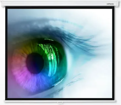 A close-up, abstract image of a human eye with a rainbow-colored iris, displayed on a projection screen.