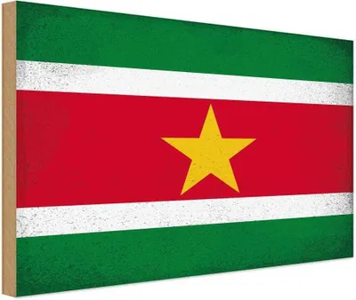 Produktbild von vianmo Holzschild 12x18 cm Suriname Vintage Flagge Fahne Wappen