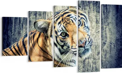 Produktbild von Bild auf Leinwand - Leinwandbild - Indien stein tiger wild - 100x60cm - Wand Bild - Wanddeko - Leinwanddruck - Bilder - Kunstdruck - Wanddekoration - Leinwand bilder - Wandkunst - EG100x60-2464