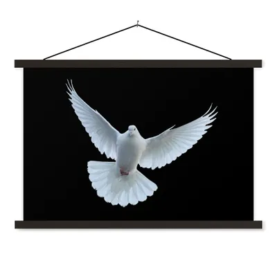 Produktbild von MuchoWow® Textilposter Taube - Vogel - Schwarz - Weiß - Porträt 120x80 cm mit schwarzem Rahmen - Wanddeko