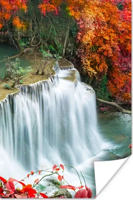 Produktbild von MuchoWow® Poster Bäume - Wasserfall - Herbst - Natur 20x30 cm - Papierdruck
