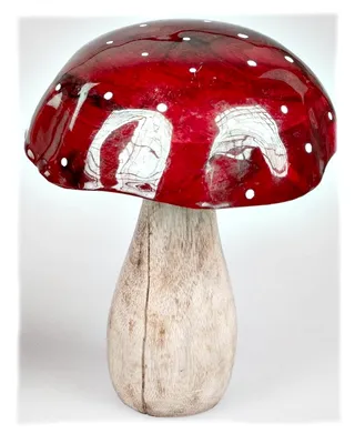 Produktbild von Deko-Pilz 22x16cm rot natur aus Mango Holz m. handbemalt Dekoration formano