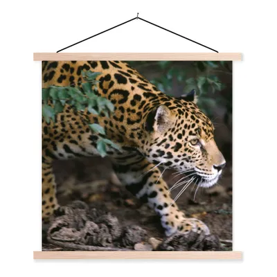 Produktbild von MuchoWow® Textilposter Schleichender Jaguar im Wald 40x40 cm mit holzfarbenen Rahmen - Posterleiste