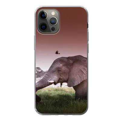 Produktbild von MuchoWow® Handyhülle Schutzhülle Hülle für iPhone 12 Pro Elefant - Gras - Sonne - Tiere Silikon Softcase Handy Hülle - Abdeckung