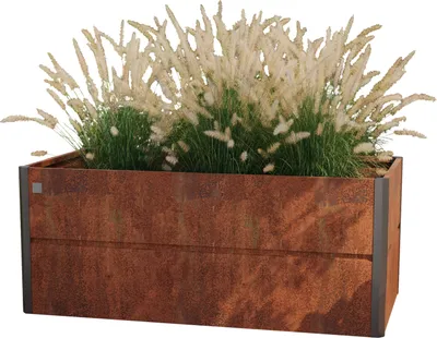 A rectangular planter box filled with ornamental grasses, set against a white background.
