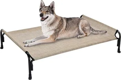 Image de Grand lit surélevé pour chien d'extérieur, lavable, beige