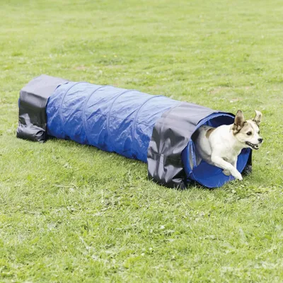 Produktbild von TRIXIE Fun Agility Mini Tunnel - blau - ø 40 cm/2 m