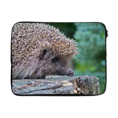 Produktbild von MuchoWow® Laptop Hülle 17 Zoll Laptoptasche Igel auf Baum - Zipper - Schutzabdeckung