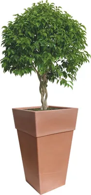 Zdjęcie produktu dla BAMA Garnek SENSATIONE 40cm Szerokość: 40 cm