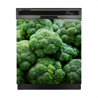Produktbild von Aufkleber sticker 60x60 cm Dekorative folie Spülmaschine - Frischer Brokkoli Gemüse