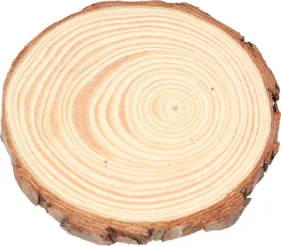 Immagine prodotto di Dischi di legno naturale, tronchi di pino rotondi, fai da te, artigianato, pittura, matrimonio, feste, decorazione, 4#, 9-10 cm