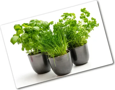 Produktbild von Tulup Glas Herdabdeckplatte - 80x52 cm - Glaskeramikkochfeld-Abdeckung Spritzschutz Glasabdeckplatte - Einteilig - Essen & Getränke - Kräuter in Töpfen - Grün