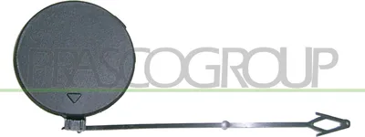 Produktbild von PRASCO BM8221238 Stoßstangen-Abdeckung Vorne Links für BMW X5 (E70)
