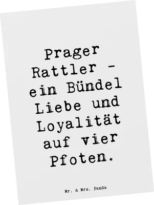 Produktbild von Mr. & Mrs. Panda Postkarte Spruch Prager Rattler - Weiß - Geschenk, bedingungslose Treue, Liebe, Ansichtskarte, Hundeliebhaber, Hunderasse, Wärme, bildkarte, Hund, Herz