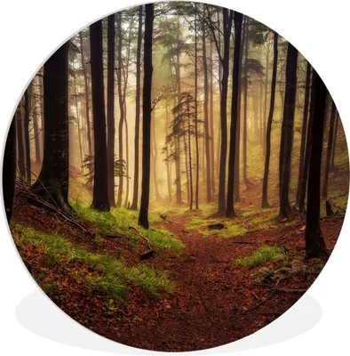 Produktbild von MuchoWow® Rundes Wandbild - Runde Bilder Bäume - Natur - Wald Ø 30 cm Kreis Wanddekoration Kunststoff - Wandkreis - Wandschmuck - Schlafzimmer - Bilder - Der Kreis - Kunst für die Wohnung - Plastik - Kunstdruck - Wandbild