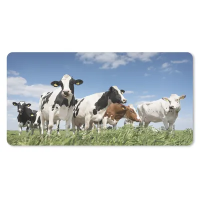 Produktbild von MuchoWow® Schreibtischunterlage Kühe - Gras - Himmel 80x40 cm - XXL Mauspad - Gaming Mauspad