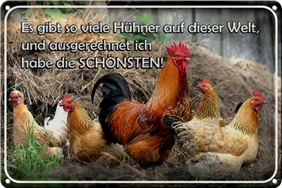 Produktbild von Blechschild Spruch 18x12cm es gibt so viele Hühner und