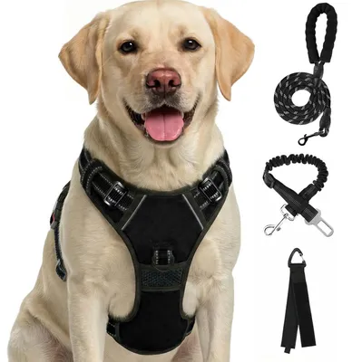 Produktbild von Zugfreies Hundegeschirr Reflektierend Schwarz Größe S mit Zubehör
