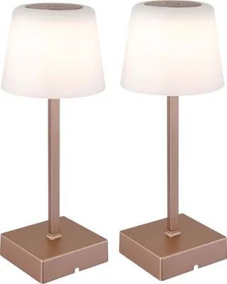 Produktbild von 2er SetLED Tischleuchte, champagner, Touchdimmer, Akku